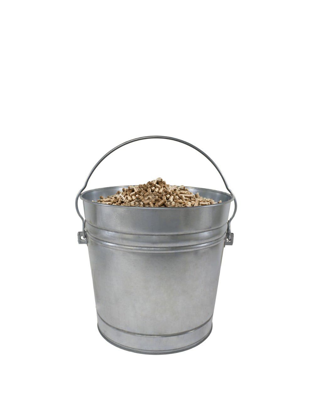 10-Gallon Galvanized Steel Trash Can with Locking Lid Y5712