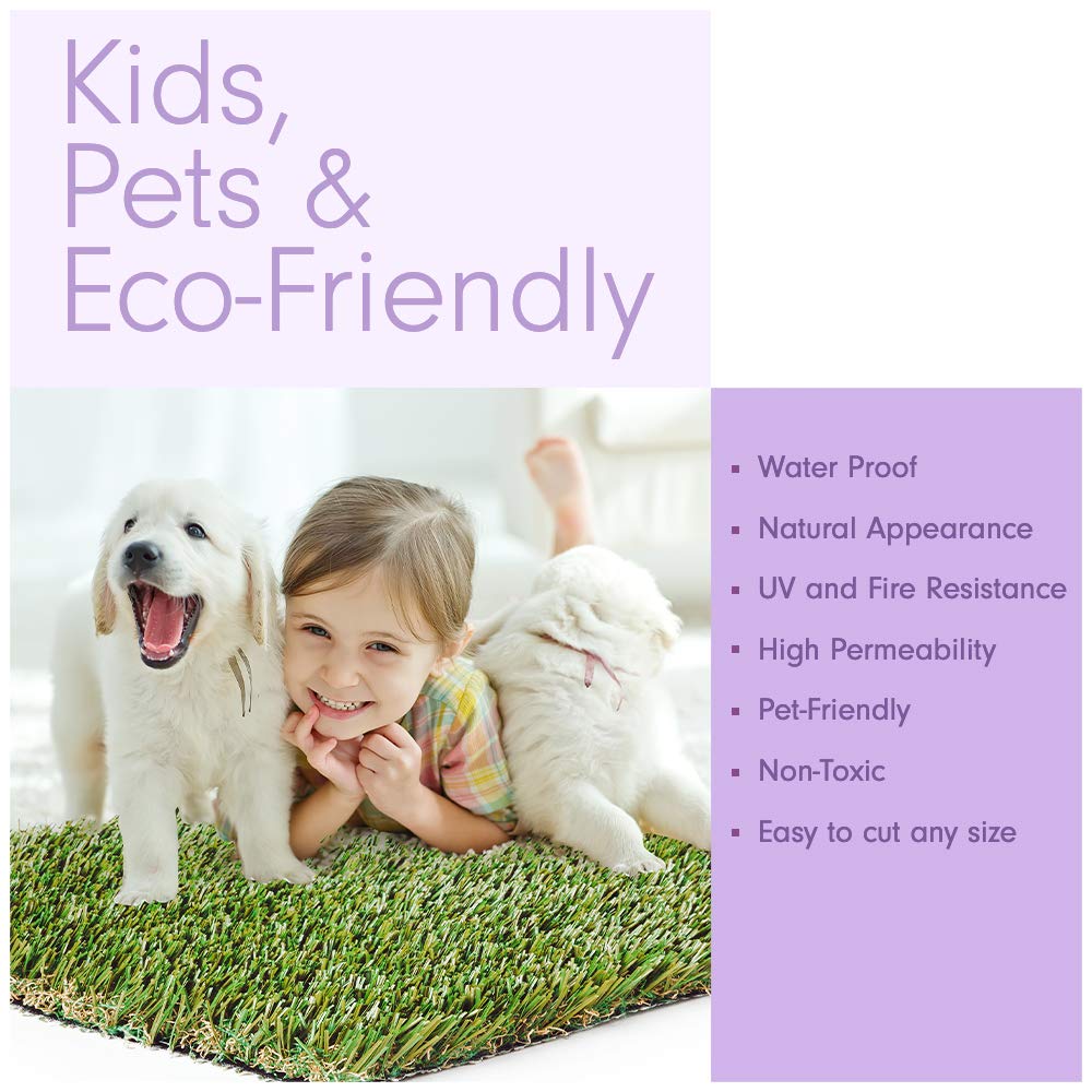 15 x 25 Feet Artificial Grass Mat C11134