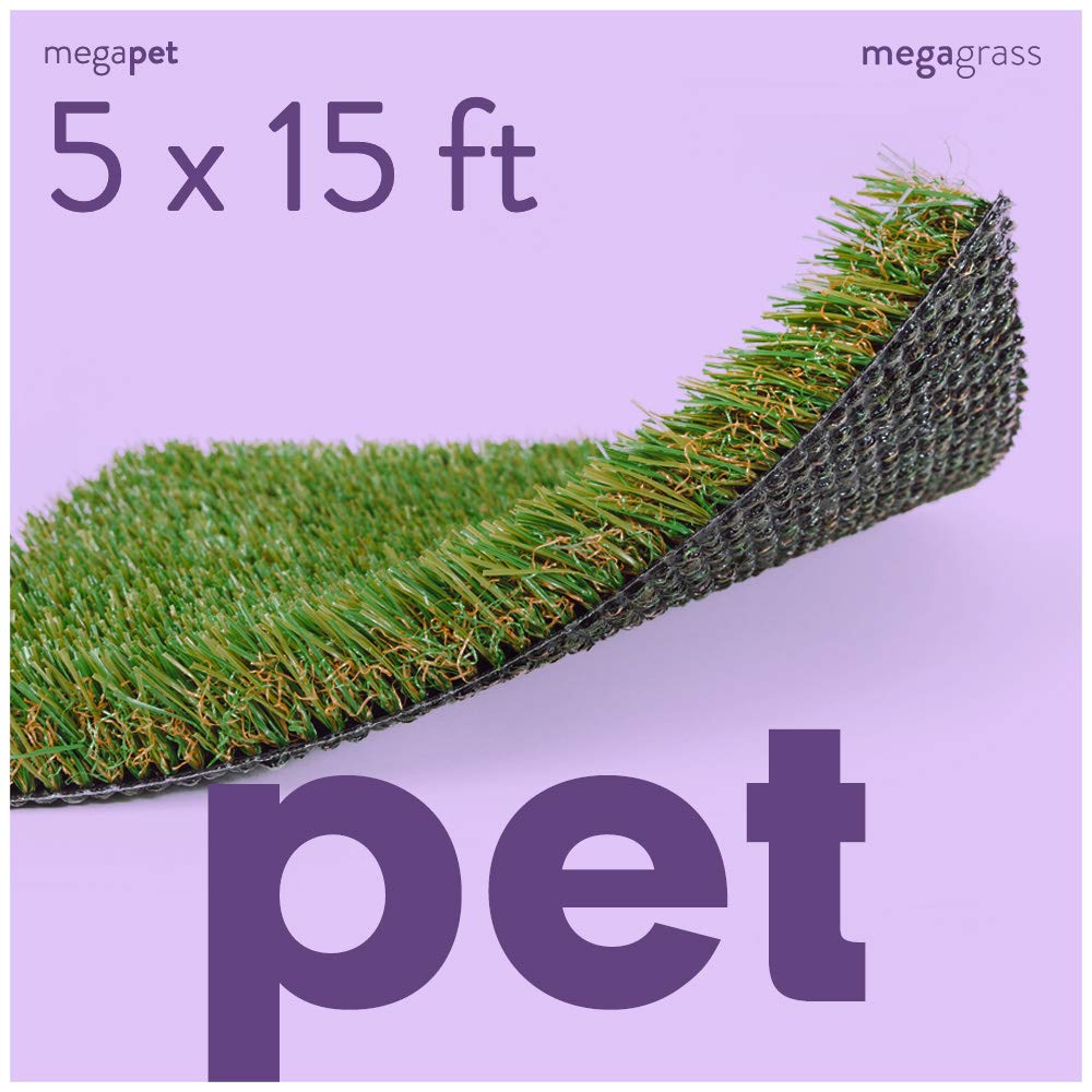 15 x 25 Feet Artificial Grass Mat C11134