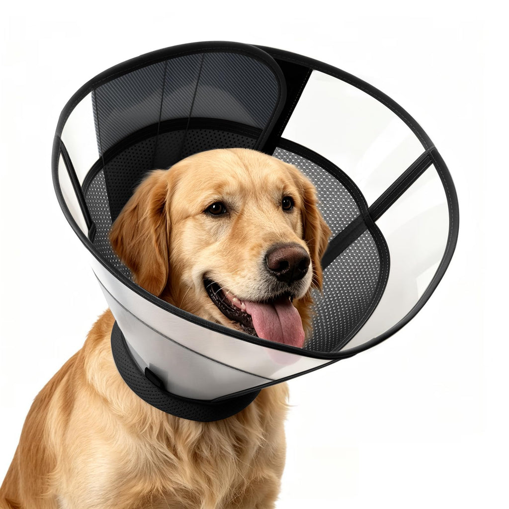 Soft Dog Cone Collar R53566