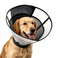 Soft Dog Cone Collar R53566