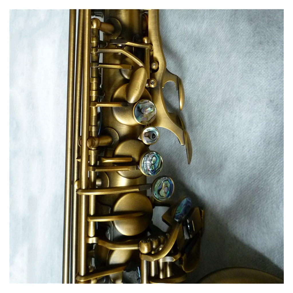 Alto Saxophone Set A60598