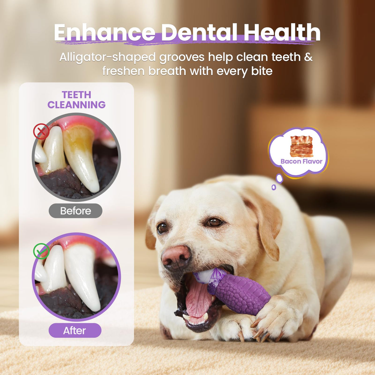 Tough Dog Toys for Aggressive Chewers B14765