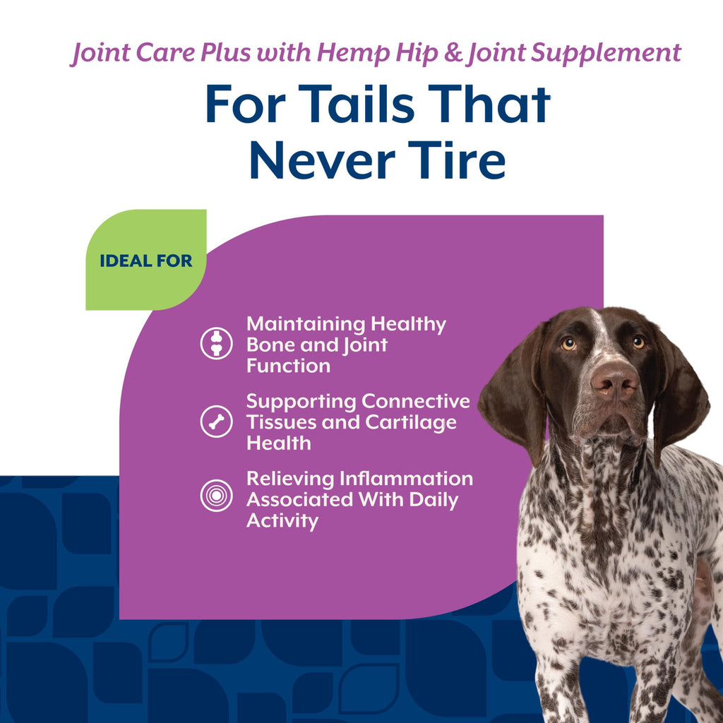 Hip & Joint Supplement for Dogs 120ct K734251