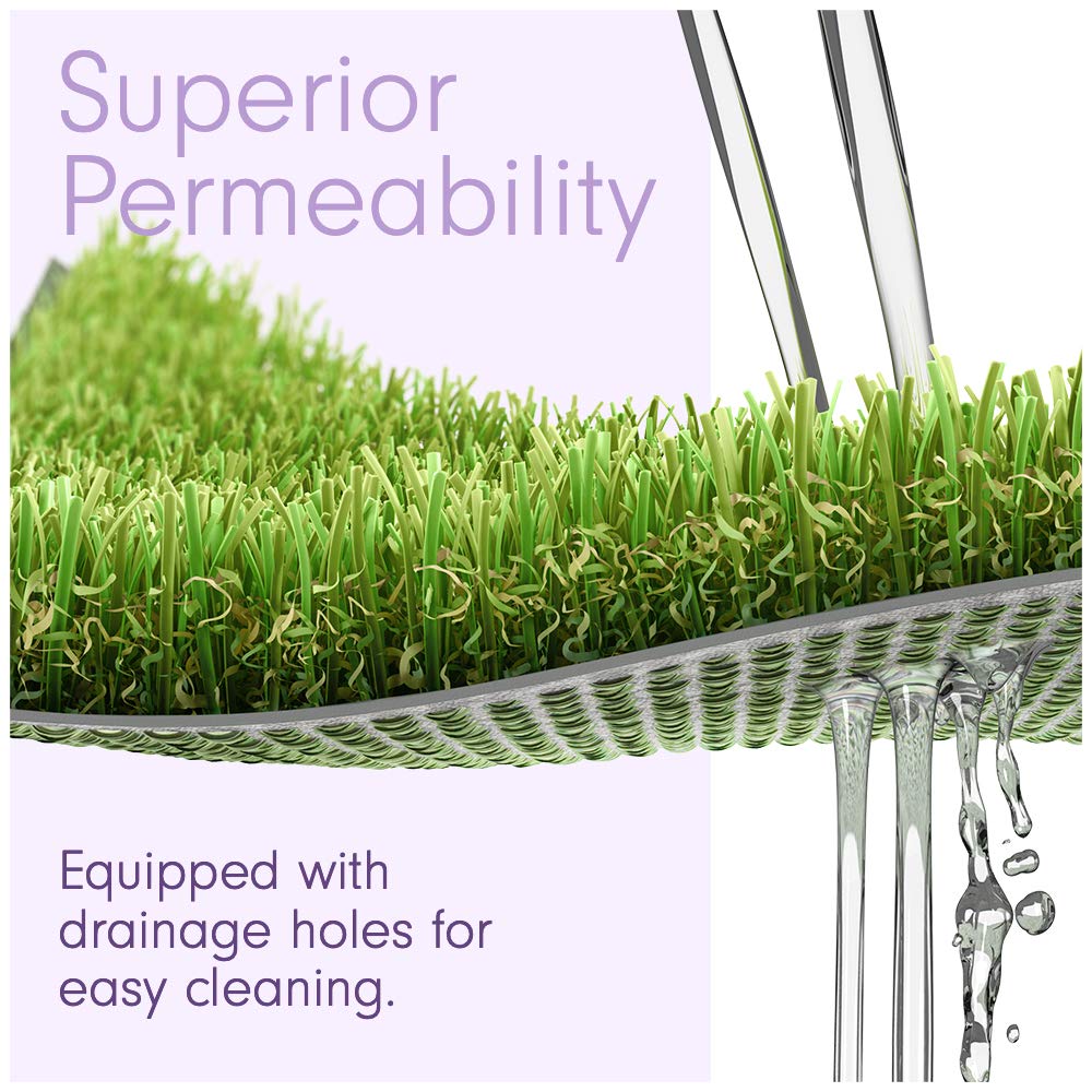 15 x 25 Feet Artificial Grass Mat C11134