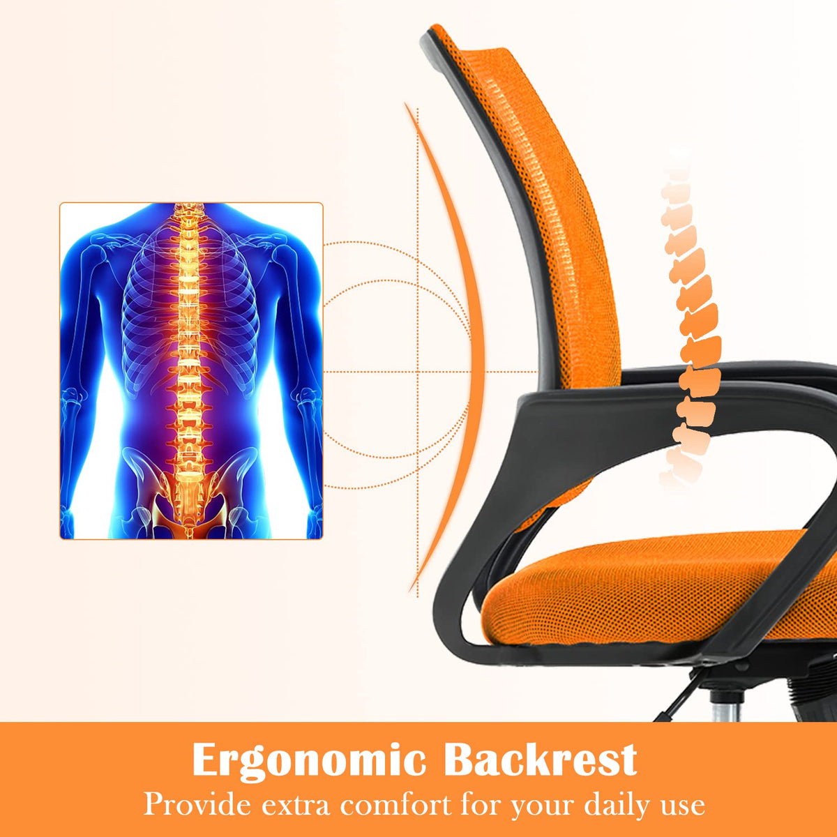 Adjustable Mesh Office Chair with Lumbar Support P12110