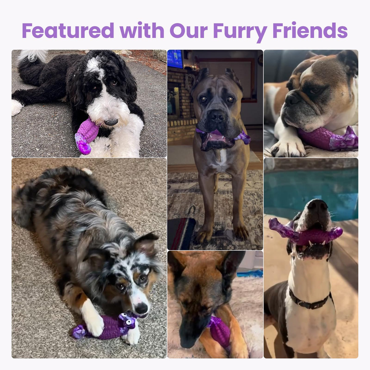 Tough Dog Toys for Aggressive Chewers B14765