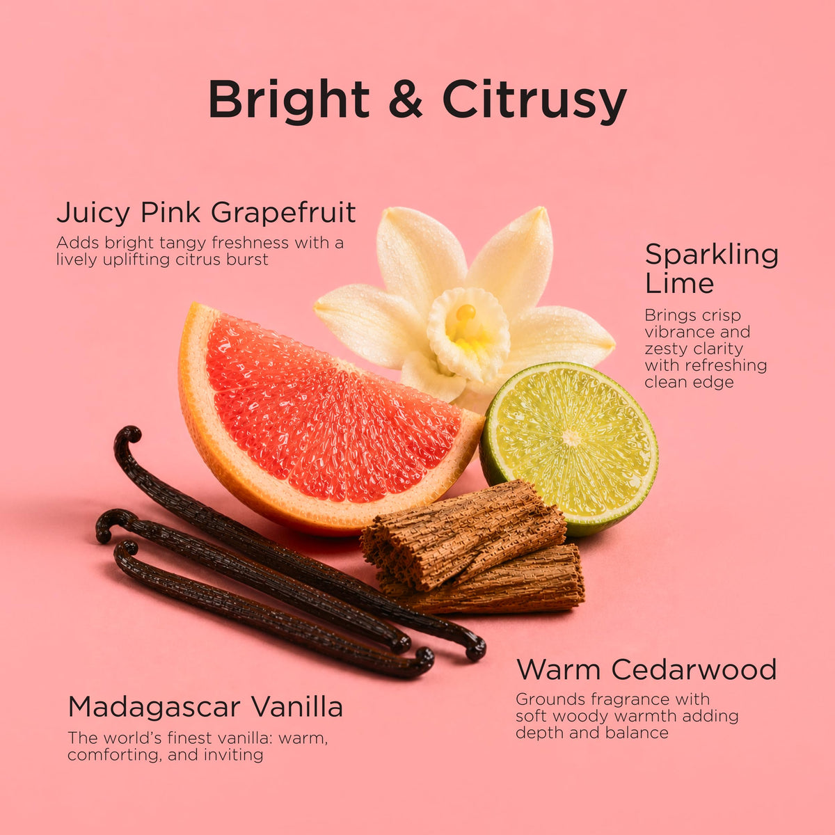 Vanilla Grapefruit Perfume 1.7 Fl Oz J877