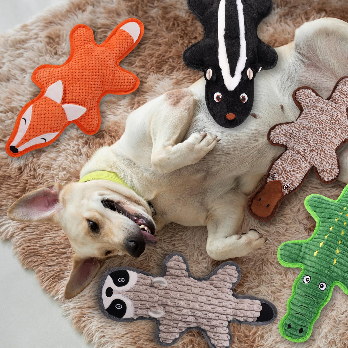 5 Pack Squeaky Plush Dog Toys with Crinkle Paper U4324