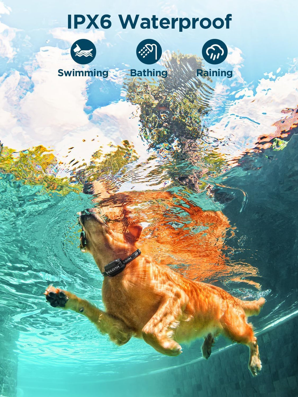Wireless GPS Dog Fence IPX7 Waterproof V131243