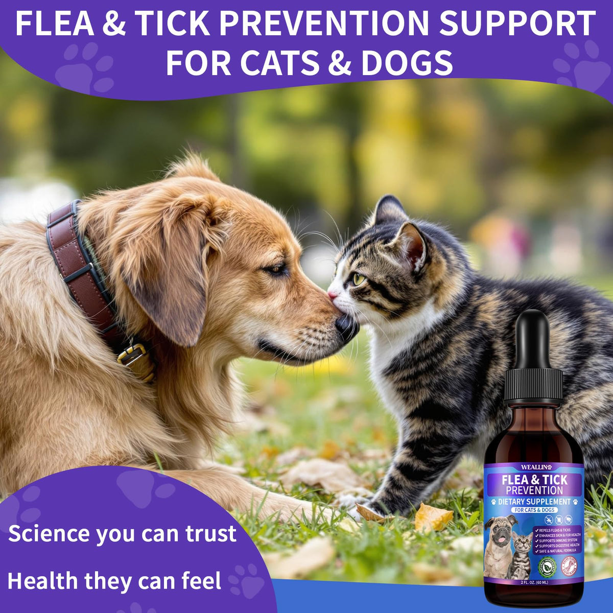 Flea and Tick Prevention Support with Multivitamin 60ml C925