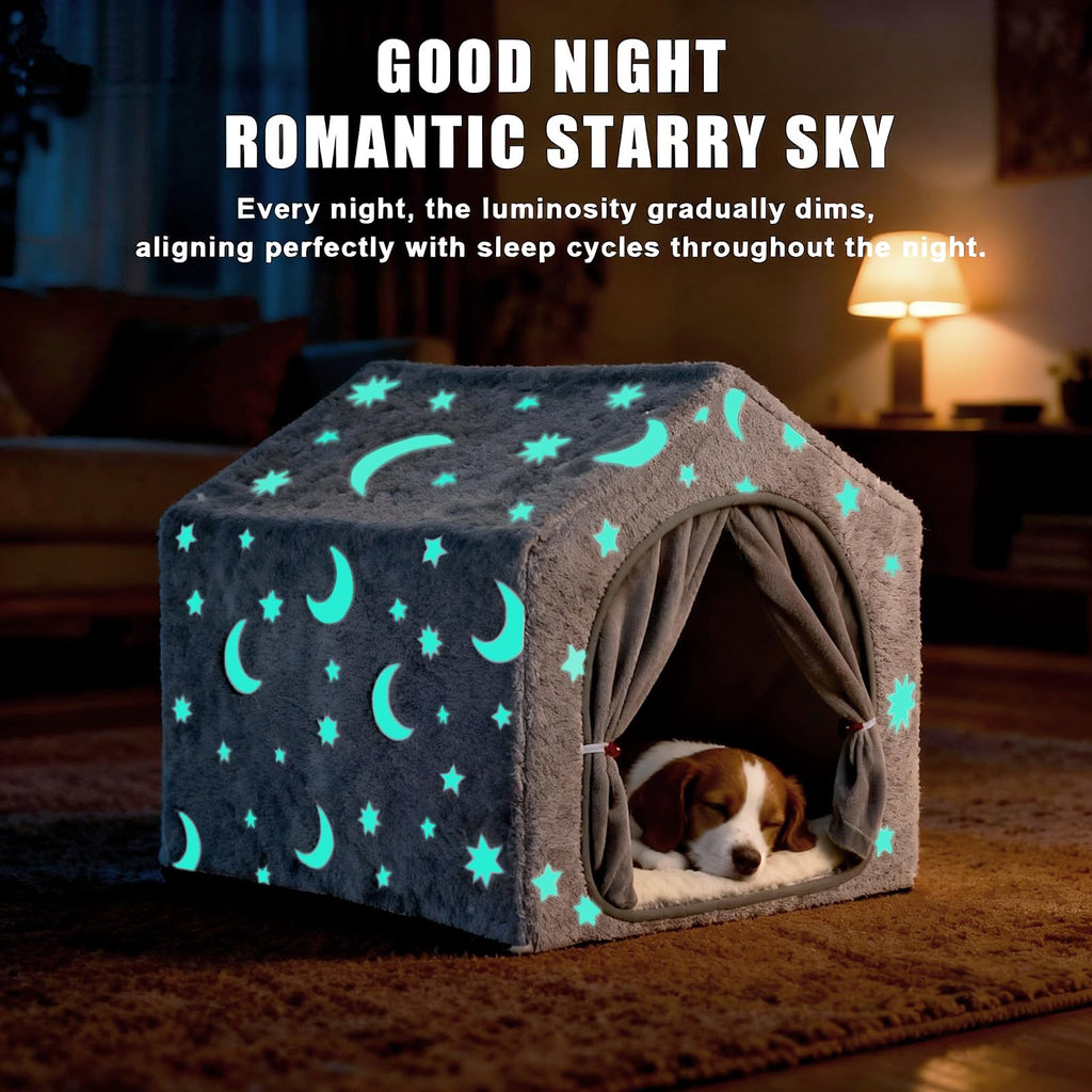 Indoor Dog House O56856