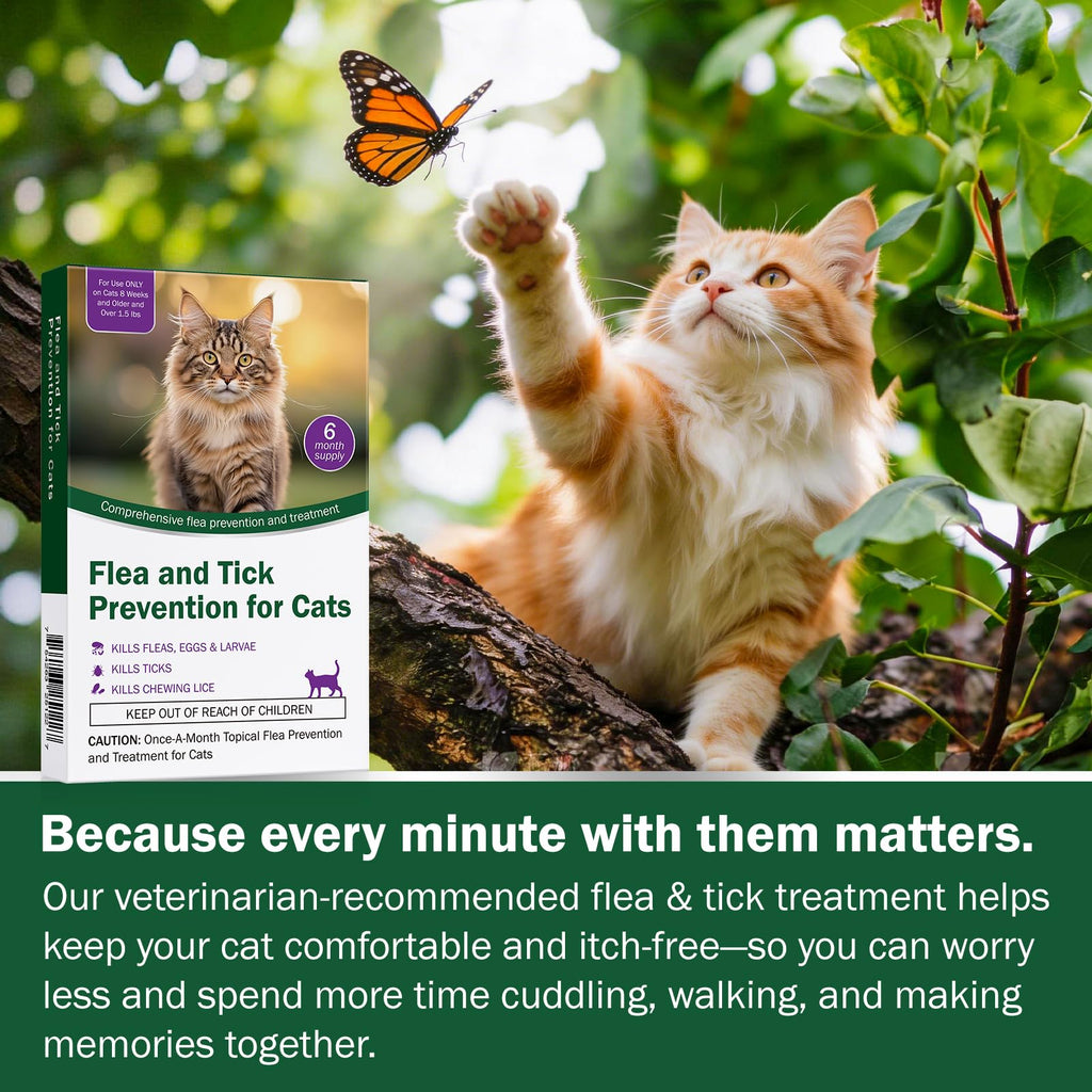 Cat Flea and Tick Prevention 6-Month Supply H336