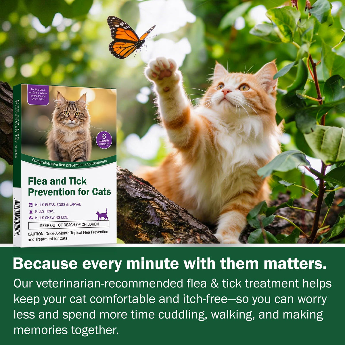 Cat Flea and Tick Prevention 6-Month Supply H336