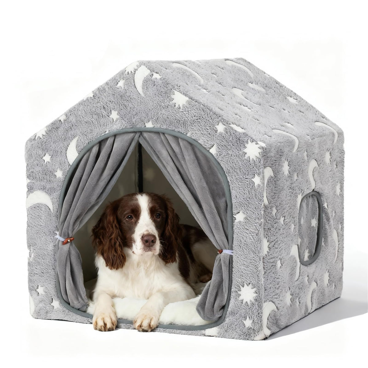 Indoor Dog House O56856
